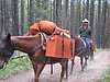 2008 Bob Marshall Wilderness Trip 017.jpg