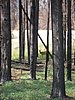 2008 Bob Marshall Wilderness Trip 023.jpg