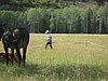 2008 Bob Marshall Wilderness Trip 024.jpg