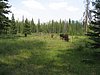 2008 Bob Marshall Wilderness Trip 036.jpg