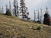 2008 Bob Marshall Wilderness Trip 052.jpg