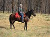 2008 Bob Marshall Wilderness Trip 061.jpg