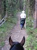 2008 Bob Marshall Wilderness Trip 064.jpg