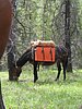 2008 Bob Marshall Wilderness Trip 071.jpg