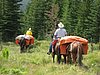 2008 Bob Marshall Wilderness Trip 076.jpg
