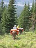 2008 Bob Marshall Wilderness Trip 077.jpg
