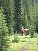 2008 Bob Marshall Wilderness Trip 079.jpg