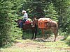 2008 Bob Marshall Wilderness Trip 080.jpg