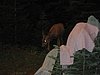 2008 Bob Marshall Wilderness Trip 088.jpg