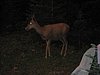 2008 Bob Marshall Wilderness Trip 089.jpg