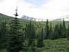 2008 Bob Marshall Wilderness Trip 096.jpg
