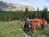 2008 Bob Marshall Wilderness Trip 110.jpg