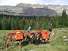 2008 Bob Marshall Wilderness Trip 111.jpg