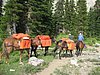 2008 Bob Marshall Wilderness Trip 114.jpg