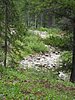 2008 Bob Marshall Wilderness Trip 178.jpg