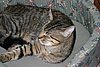 IMG_6655.JPG