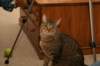img_2249_small.jpg