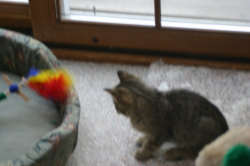 IMG_5767.JPG