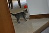 IMG_5687.JPG