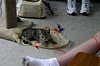 IMG_5748.JPG
