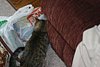 IMG_5750.JPG
