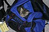 IMG_5752.JPG