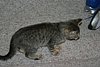 IMG_5758.JPG