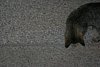 IMG_5759.JPG