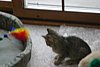 IMG_5767.JPG